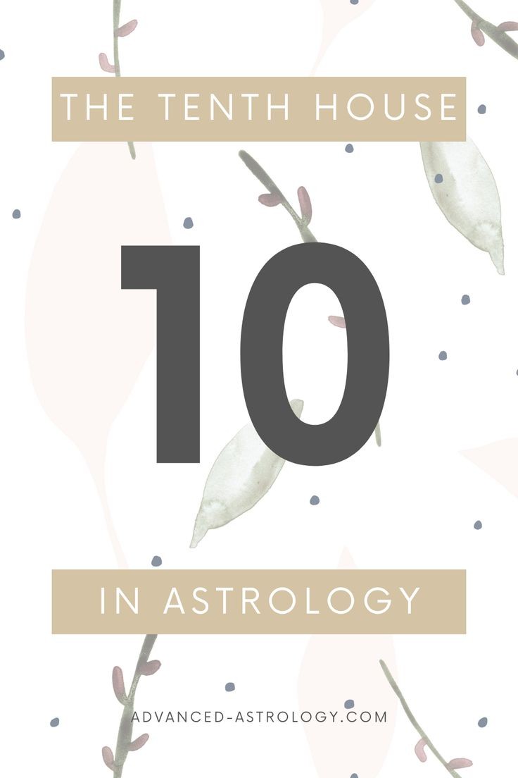 what is the 10th house in astrology