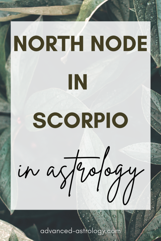 North Node in Scorpio