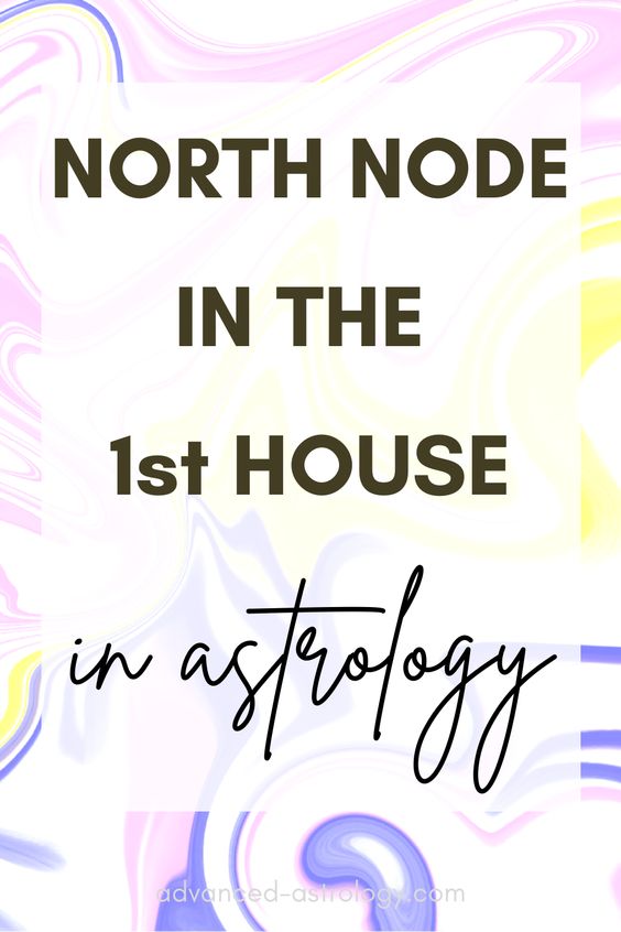 north node in 1st house