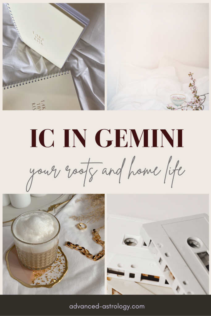 ic in gemini